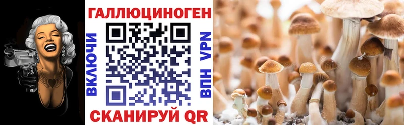 Купить где  Борисоглебск  Галлюциногенные грибы GOLDEN TEACHER 
